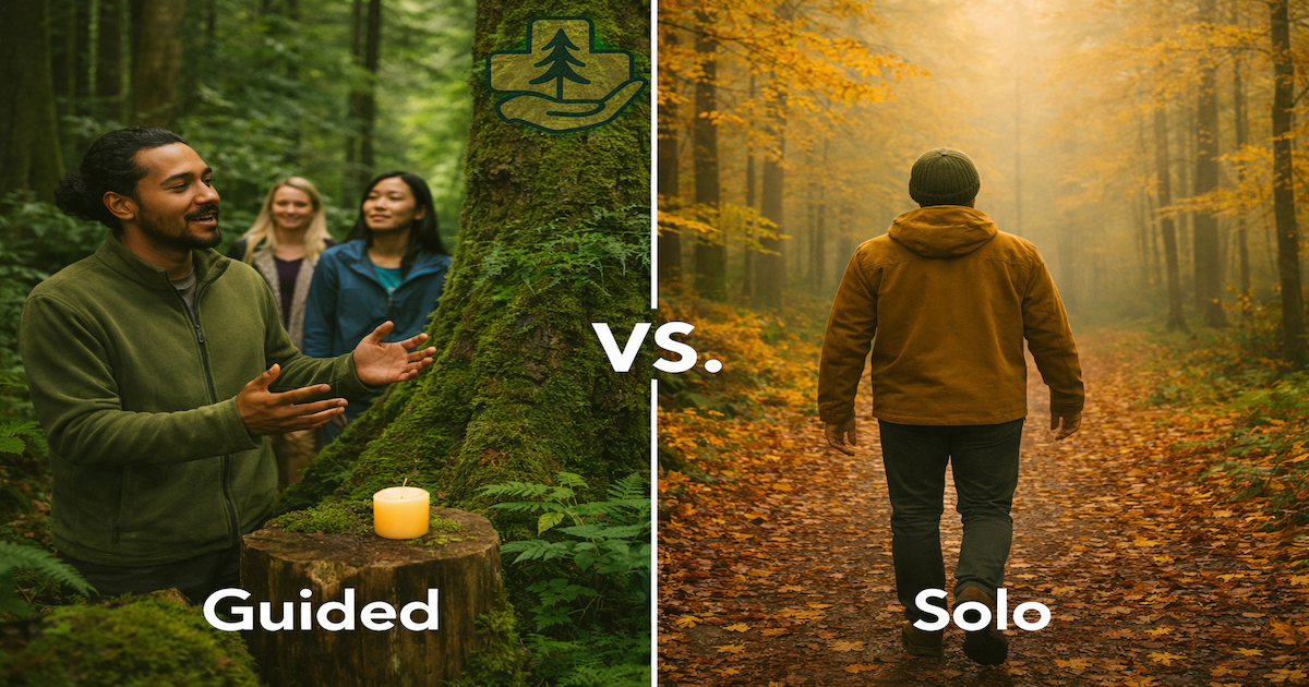 Forest Therapy Outcomes: Guided vs. Solo Experiences