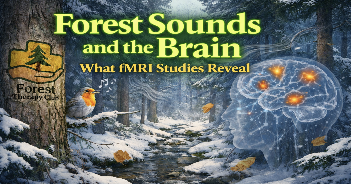Forest Sounds and the brain