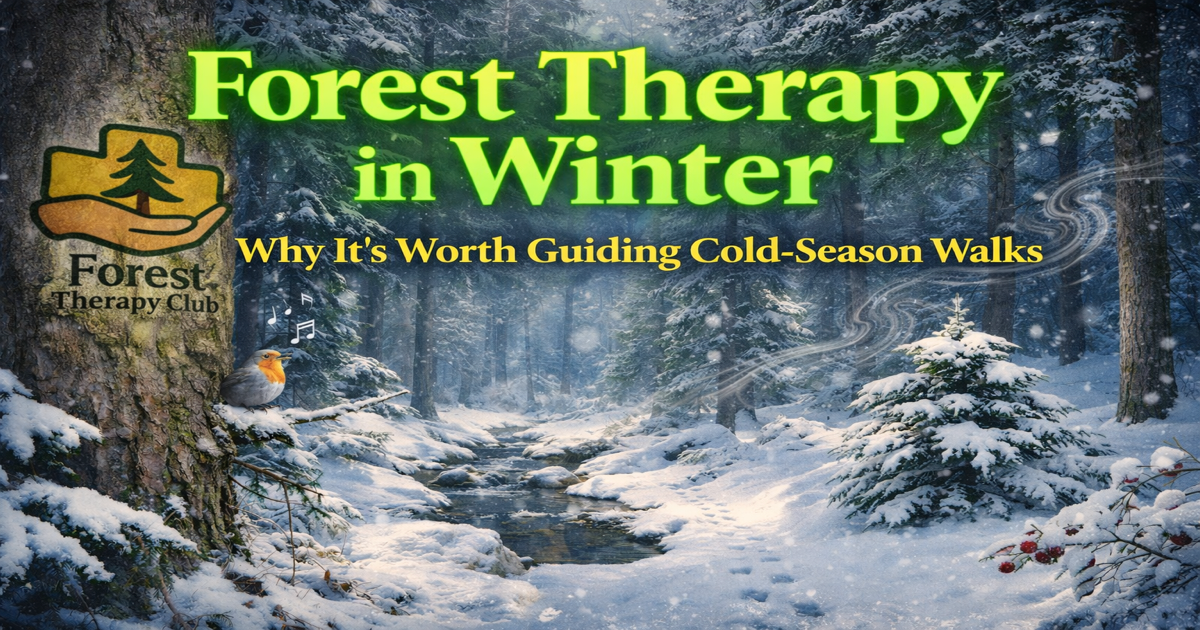 Forest Therapy in Winter