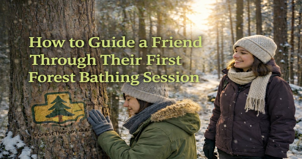 Guide friend through first Forest Therapy Session