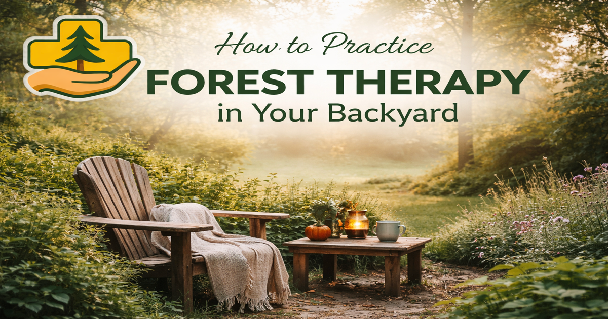 Forest Theapy in your back yard