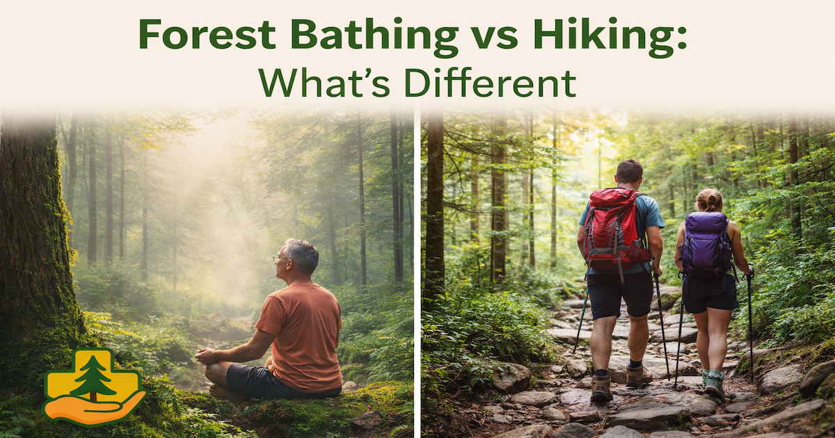Forest Bathing v hiking