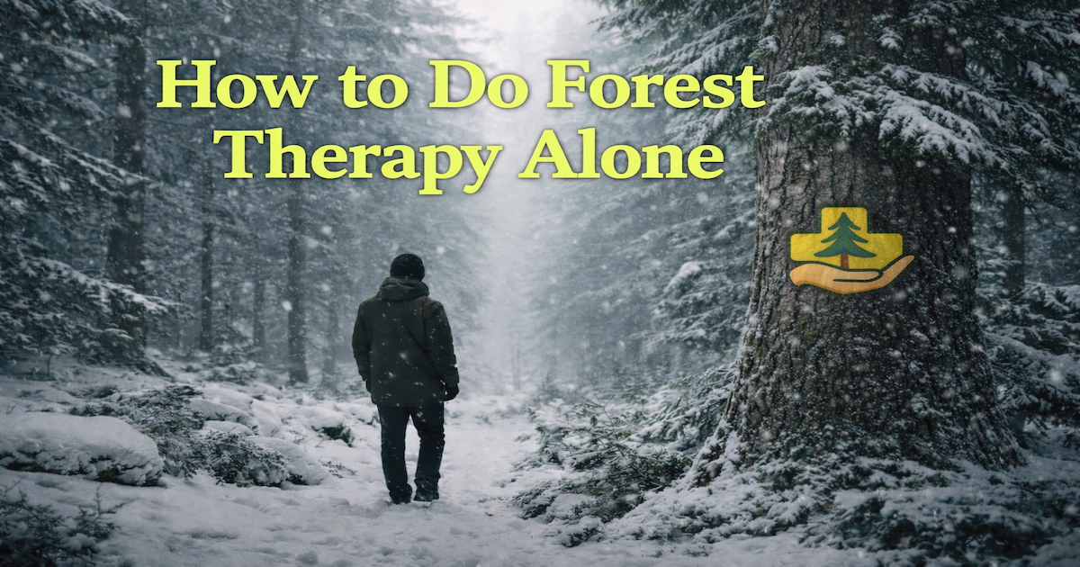 Forest Therapy Alone