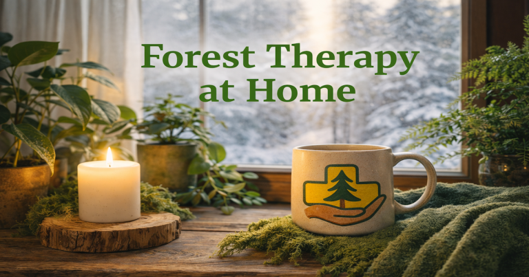 Forest Therapy at Home: A Simple Daily Practice.