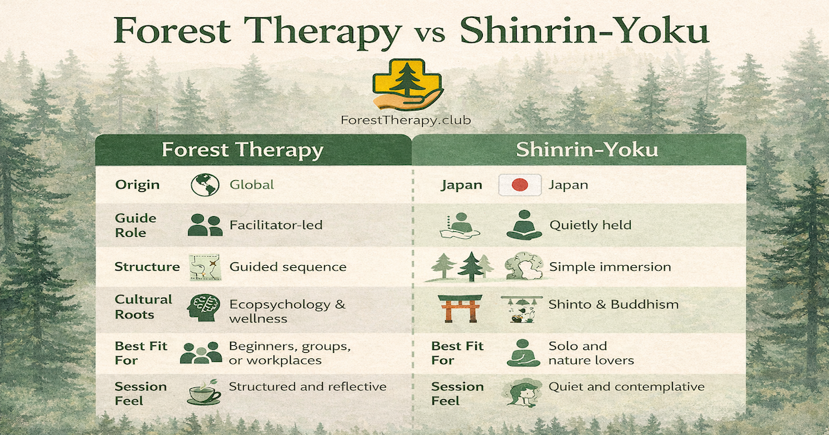 Shinrin-Yoku vs Forest-Therapy