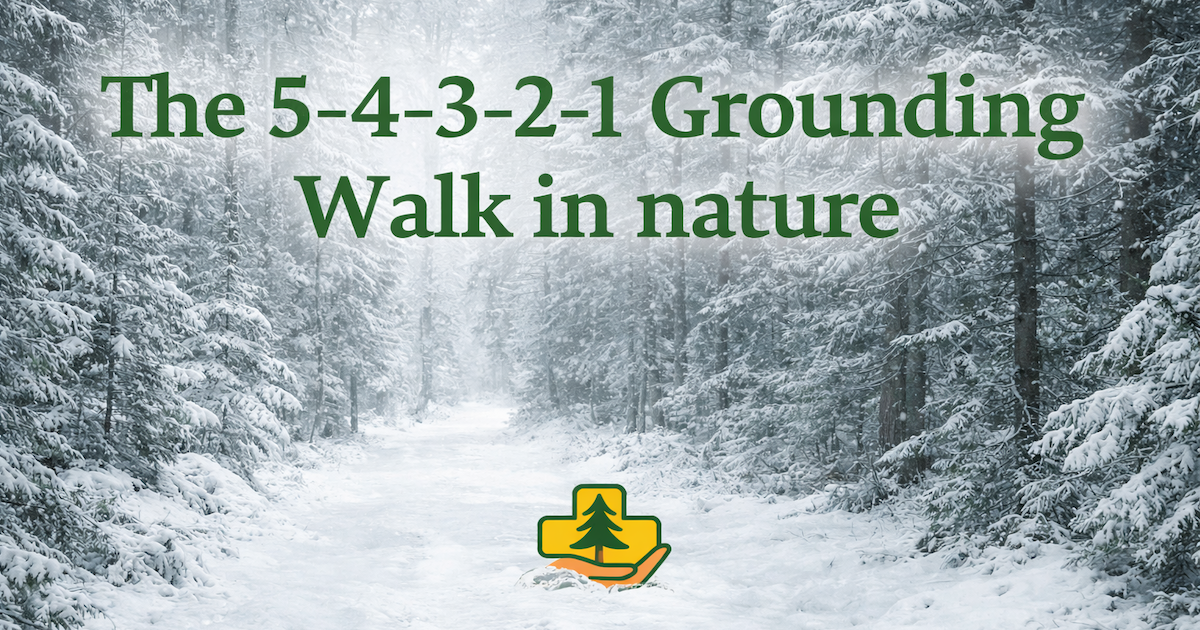 Grounding Walk in nature