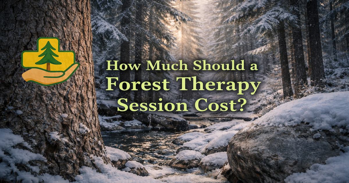 forest therapy session cost